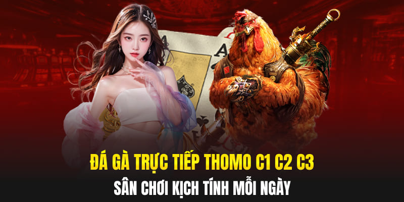 Đá Gà Trực Tiếp Thomo C1 C2 C3 - Sân Chơi Kịch Tính Mỗi Ngày
