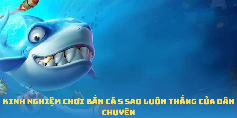Kinh nghiệm chơi bắn cá 5 sao luôn thắng của dân chuyên