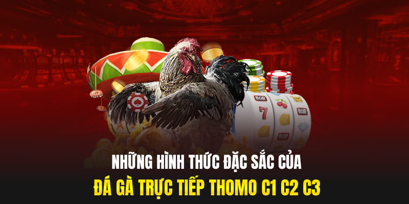 Những hình thức đặc sắc của đá gà trực tiếp Thomo C1 C2 C3