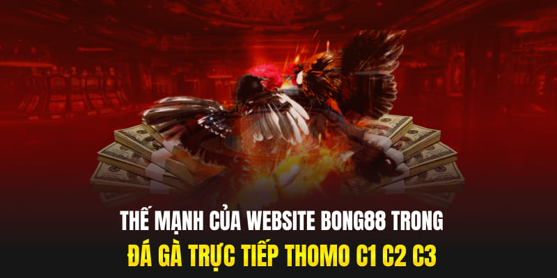 Thế mạnh của website Bong88 trong đá gà trực tiếp Thomo C1 C2 C3