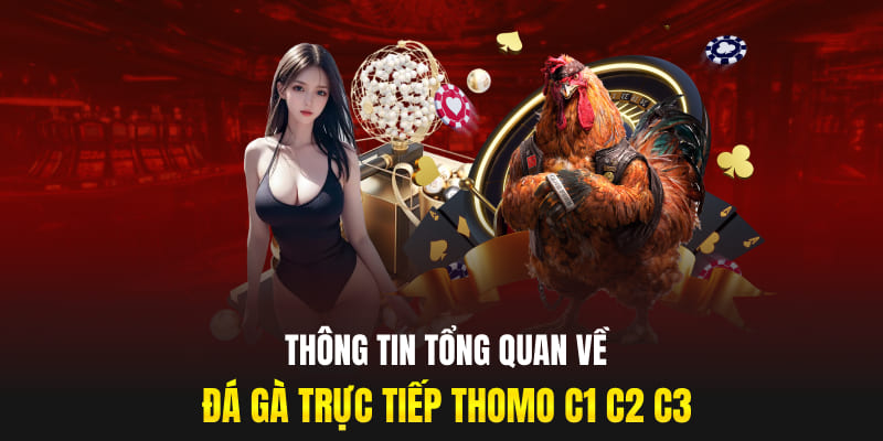 Thông tin tổng quan về đá gà trực tiếp Thomo C1 C2 C3