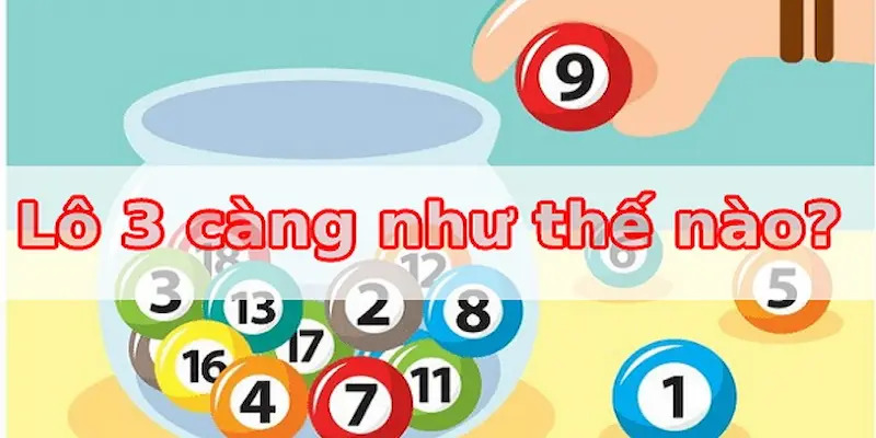 Tìm hiểu về nuôi lô 3 số